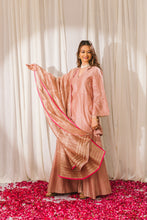 Load image into Gallery viewer, Nayaab sharara set